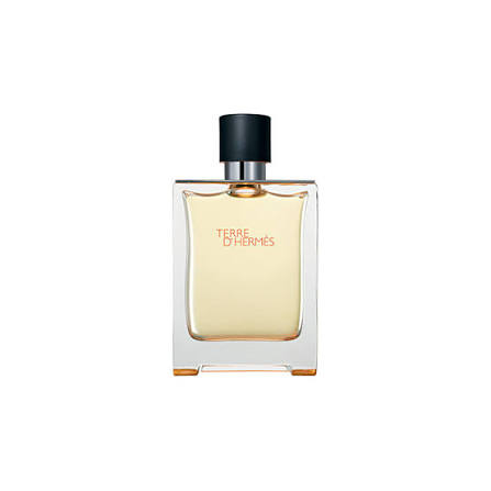 TERRE D HERMES EDT 100ML