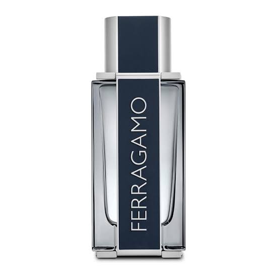 FERRAGAMO POUR HOMME EDT 100ML (C)