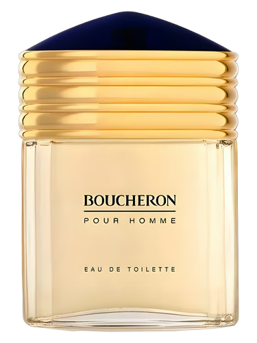 BOUCHERON POUR HOMME EDT 100ML
