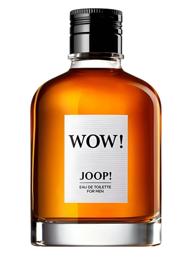 JOOP WOW MEN PARFUM 100ML