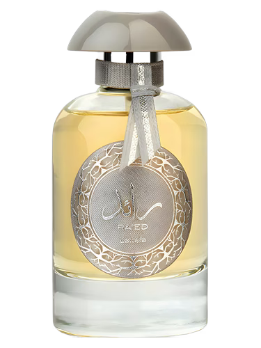 RAED SILVER 100 ML