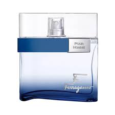 FERRAGAMO FREE TIME POUR HOMME EDT 100ML