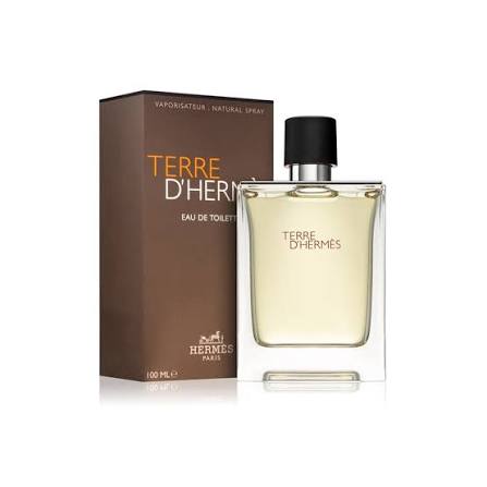 TERRE D HERMES EDT 100ML