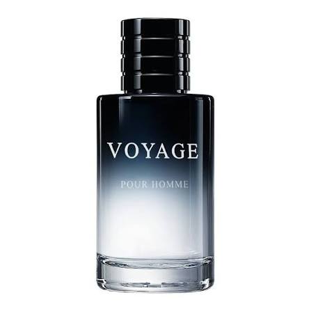 ARQUS VOYAGE MEN EDP 100ML